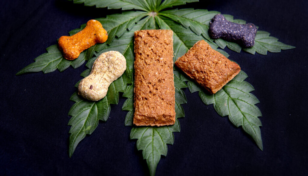 CBD Dog treats and cannabis leaves isolated over black
