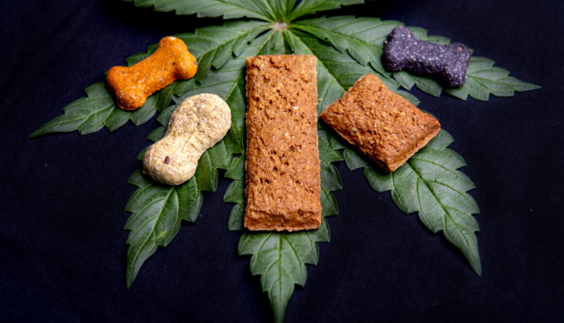 CBD Dog treats and cannabis leaves isolated over black