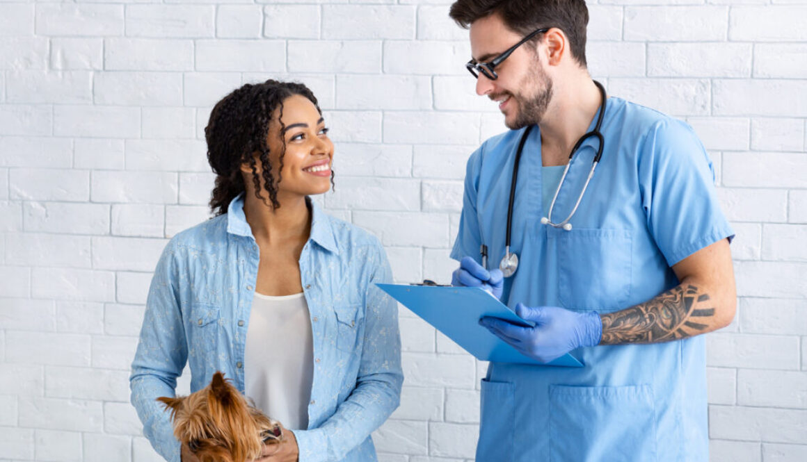Positive veterinarian doctor communicating with cute dog's owner in medical office