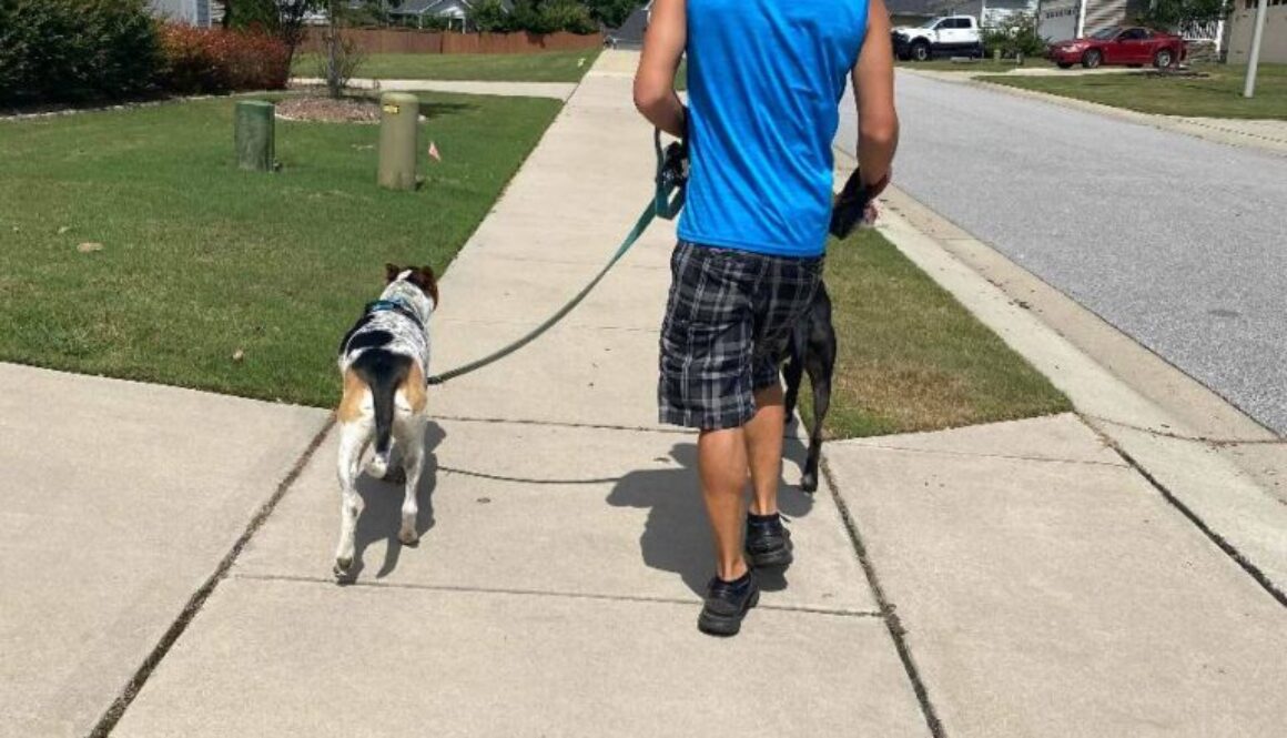 dog walking